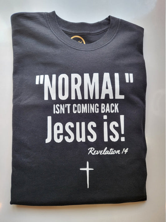 Normal Isn&#39;t Coming Back, Jesus Is!
